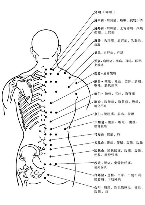 背後穴位圖|人體穴位圖（帶穴位功能主治說明）